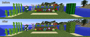 Plants