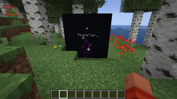 See invisibility on others