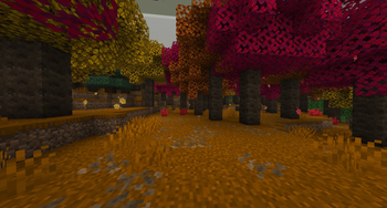 Dappled Forest pic