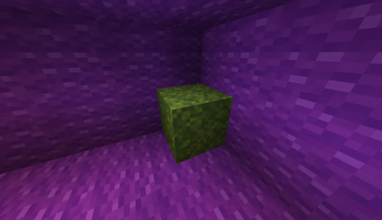 A moss