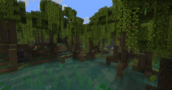 Mangrove swamp