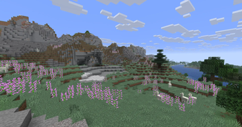 Windswept hills