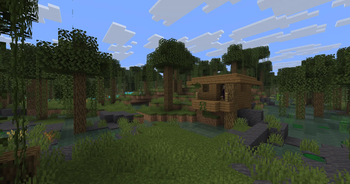 Swamp