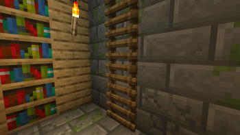 Example - Ladder in Stronghold