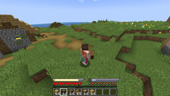 Stamina and Weight Screenshot 1