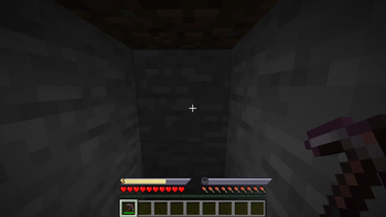 Stamina and Weight Screenshot 2