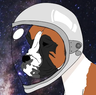 BattleDog249