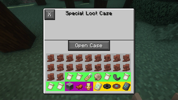 Special Case