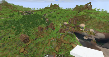 Village