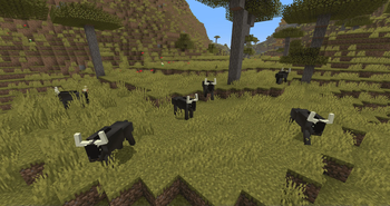 A herd of wildebeests in the savanna
