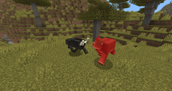 A wildebeest attacks a cow