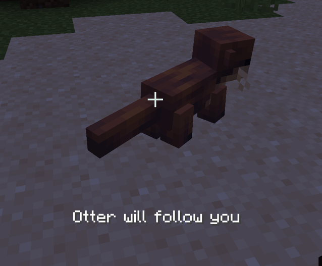 Follow mode