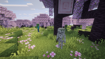 In the cherry forest