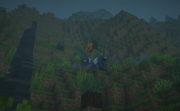 More animal variations