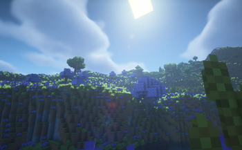 More plants and trees