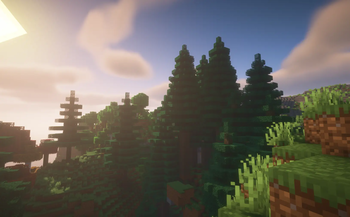 Improved spruce design