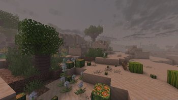 Desert Dunes