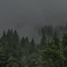 mist_