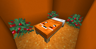 Orange Bed V1