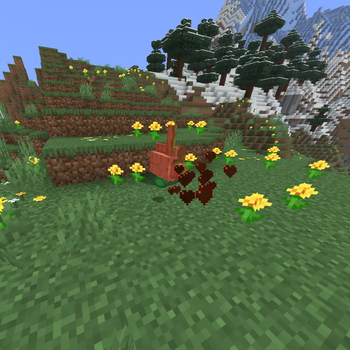 Slain Turtle