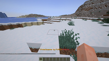 TotemSwapper Screenshot 1