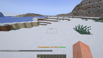 TotemSwapper Screenshot 2