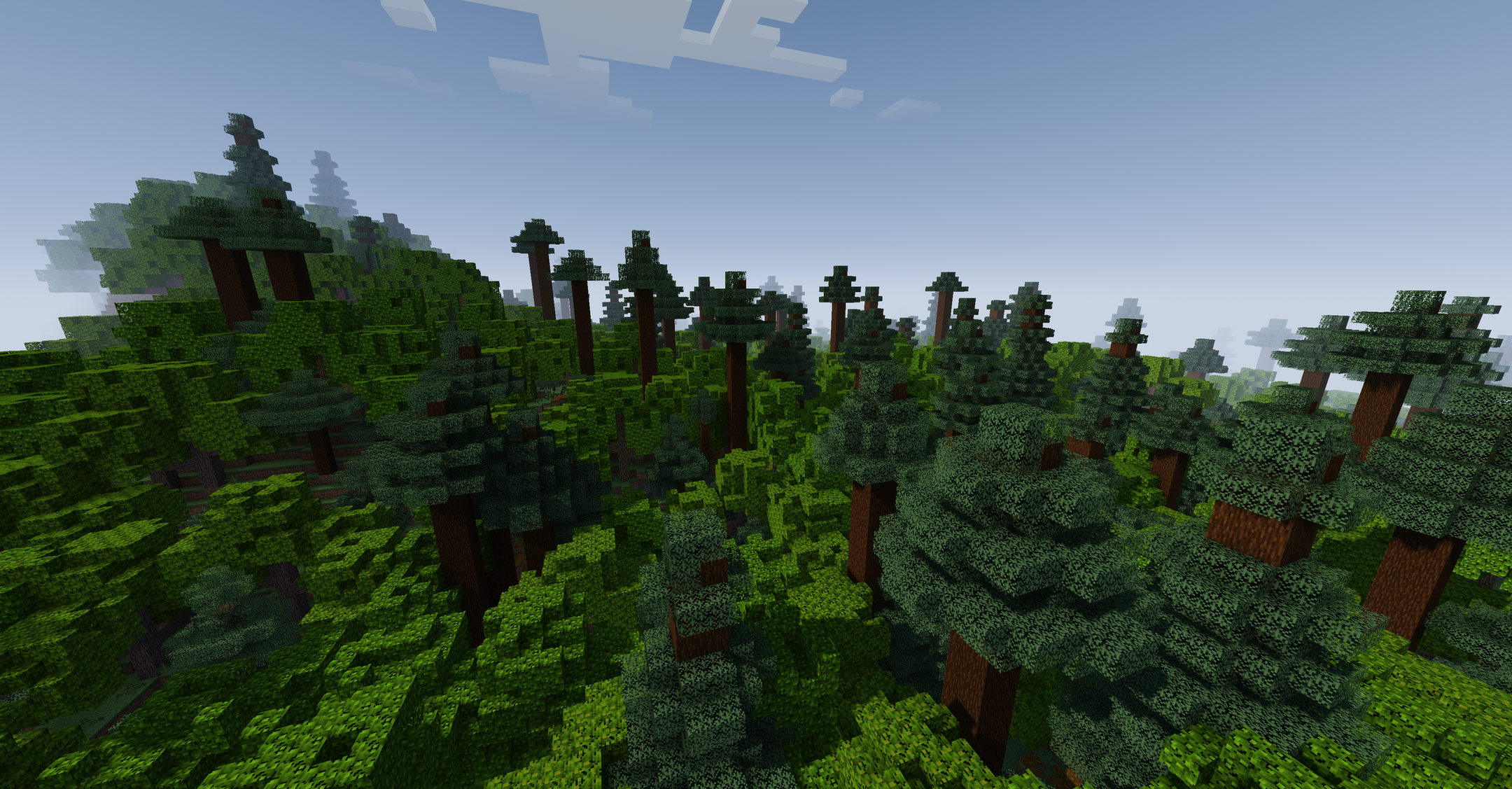 Mixed Forest Biome