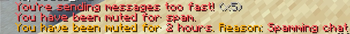 Example of spamming thne getting muted
