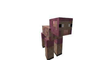 Sheared Pink Sheep