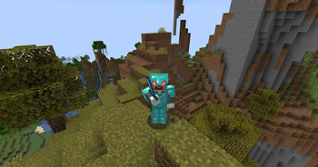 Animations