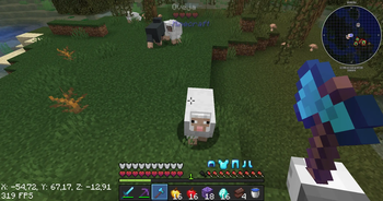 Killing a Sheep