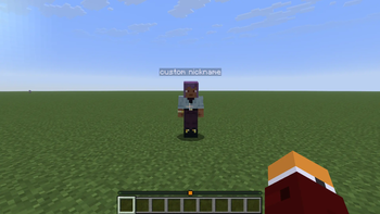 Name tag with custom nickname