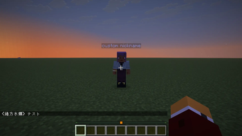 Chat with nickname displayed