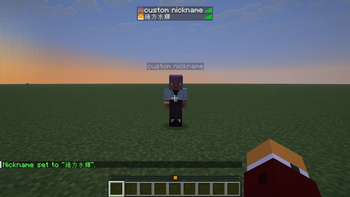 Tab list showing nicknames