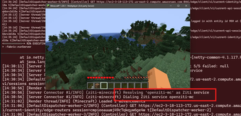 Connected to server over OpenZiti