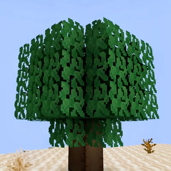 Zaytun Tree