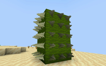 Cactus Spines