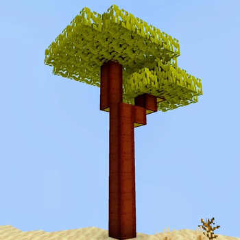 Flamepalm Tree