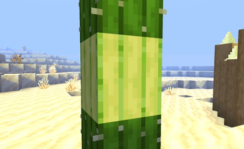 Stripped Cactus