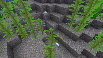 Ocean Resources