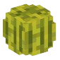 zHead
