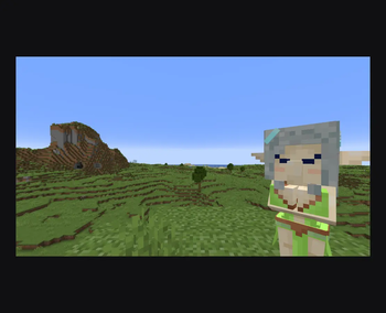 First-person view