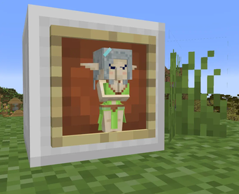 In an Item Frame