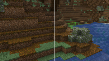 Coarse Dirt and Podzol comparison