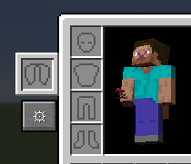 Elytra slot