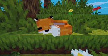 Cute Foxie!