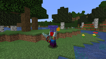 Armor on player