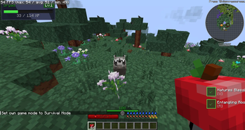 first person