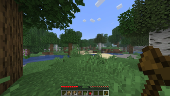 Gameplay