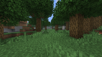 Forest